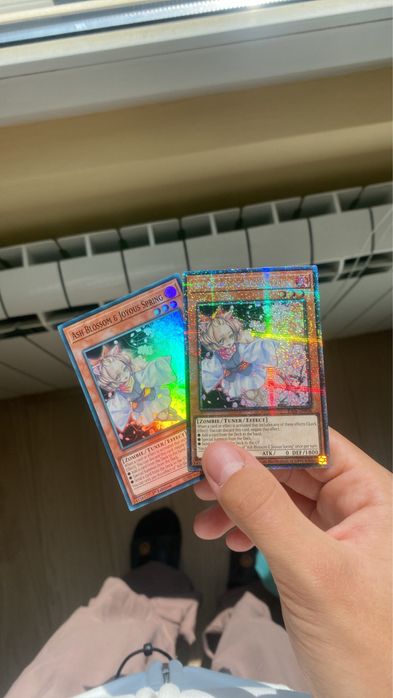 Ash Blossom & Joyous Spring(Near Mint)[QCR]