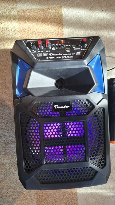 Bluetooth колонка Thunder THS-B801