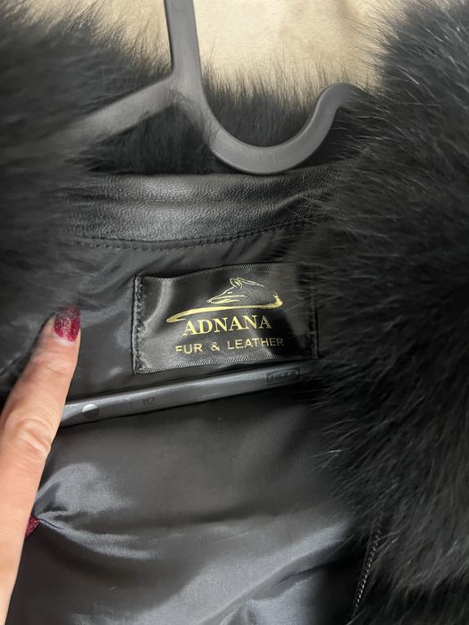 Haina blana vulpe polara