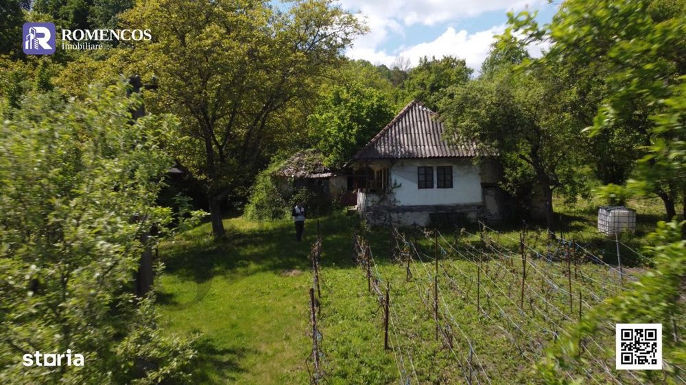 Casa traditionala in Sat Opresti, comuna Stalpeni, Arges