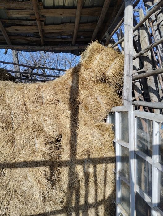 Baloți amestec iarbă