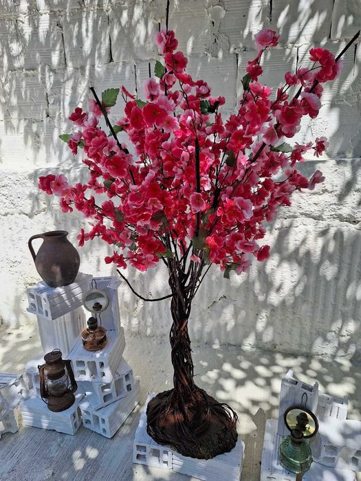 Декоративни дръвчета Аря