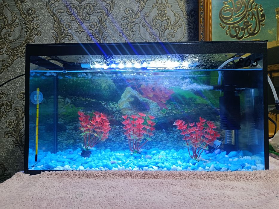 Akvarium sotiladi full komplekt