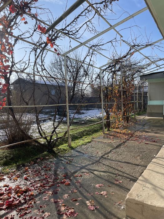 Xovli sotamiz 9 sotix