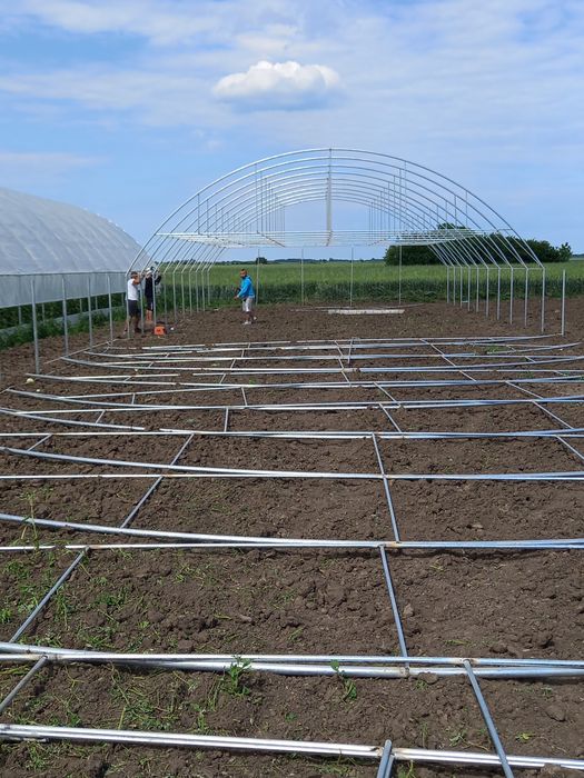 Solare legume și flori