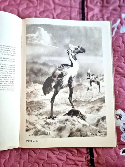 Продам старую книгу 1963 года о доисторическом животном мире .