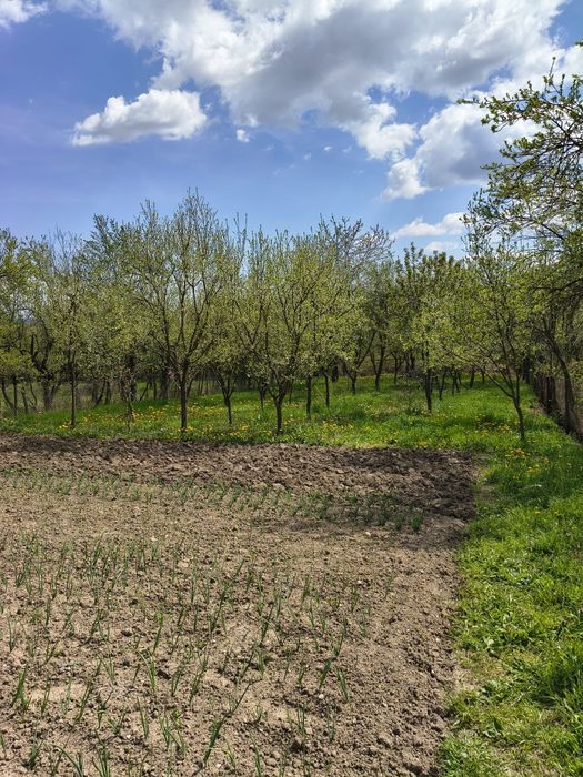 Vând casă Argeș - Dobrogostea