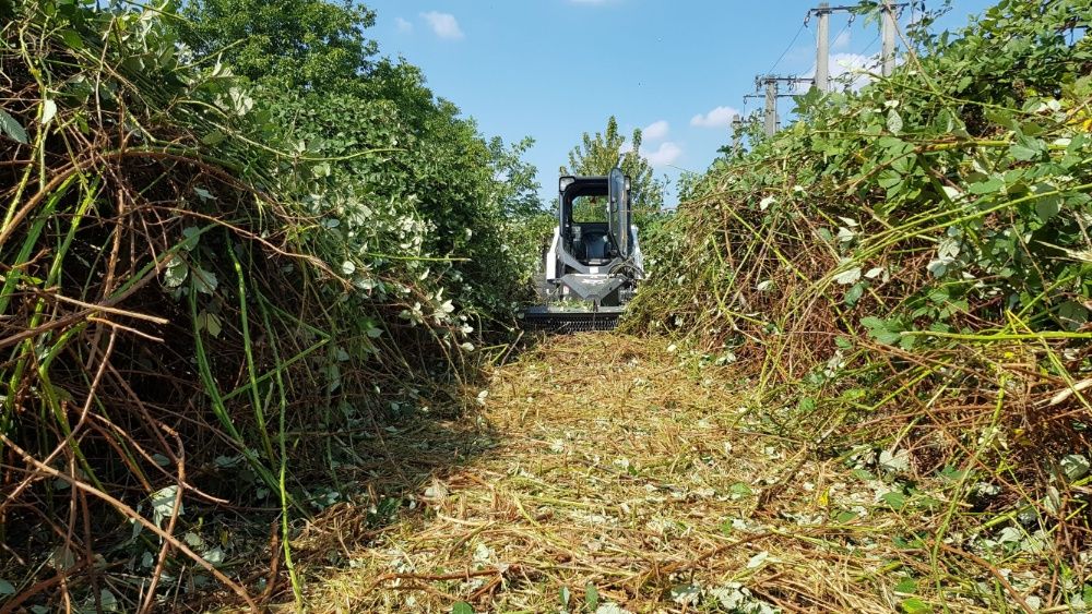 Defrisare curatare cosire tocare arbusti iarba rugi maracini ambrozie