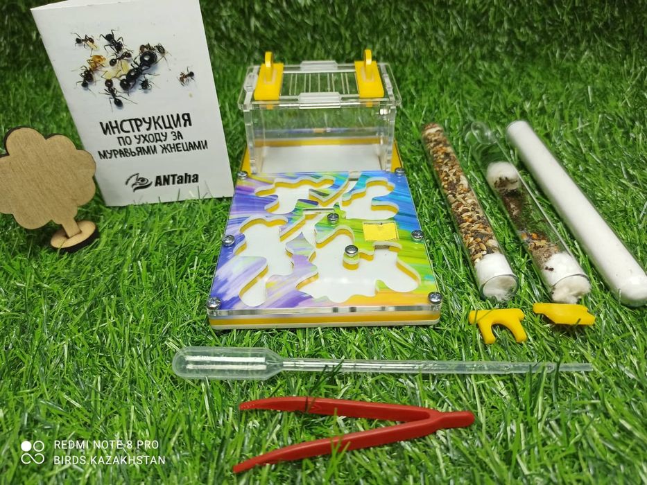 Муравьиная ферма от 5500. В наличии в городе АЛМАТЫ!