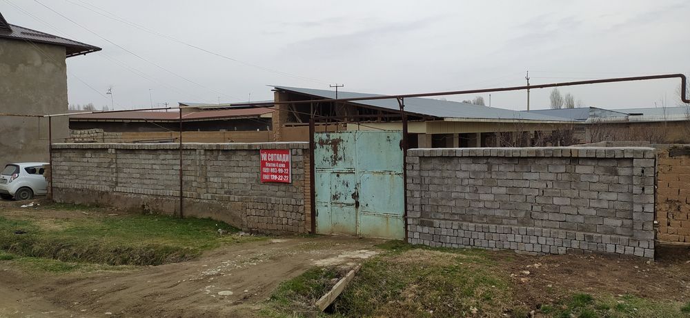 Keles. Abdurahmonov. Kok terak.7.6 sotx