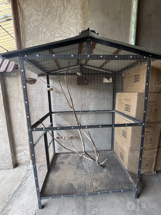 Вальер,valyet,valer,qapas,qafas,kush,сетка,птицы,сова,канарейка,
