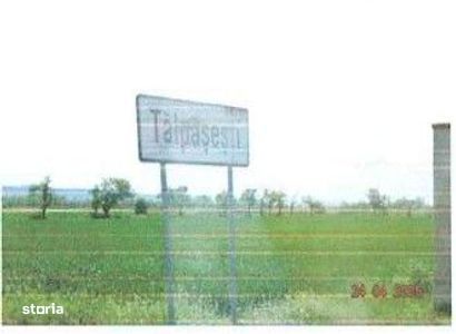Teren intravilan sat Talpasesti, com. Balesti, Gorj - 3074080