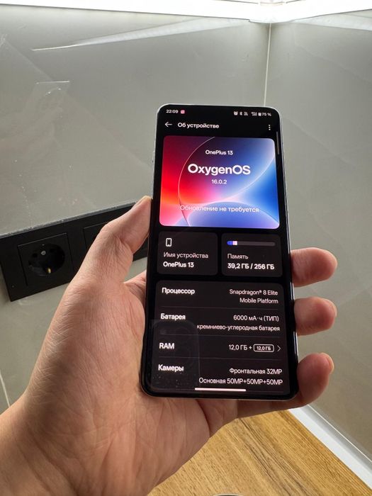 OnePlus 13 12/256 white