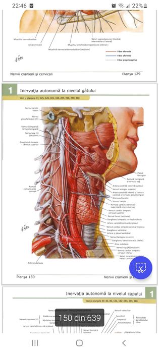 Netter și atlas de biologie pentru admitere în pdf .