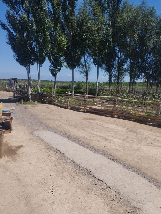 фазенда уй сатылады