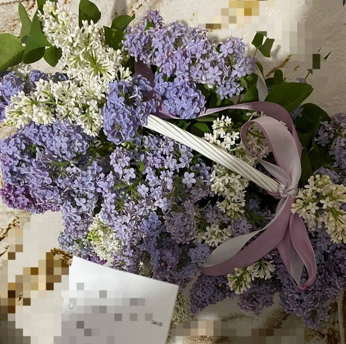 Апрельский сирен