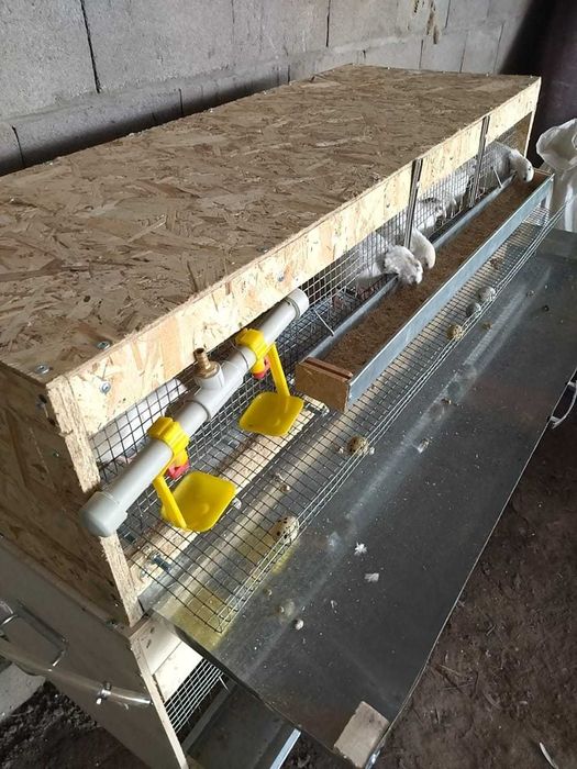 Продам клетки для перепелов