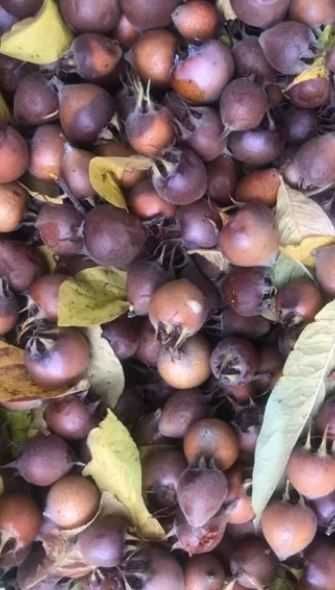 Vand fructe Mosmoane