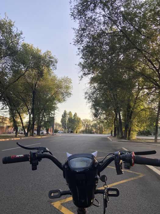 Скутер Леопард и Танк