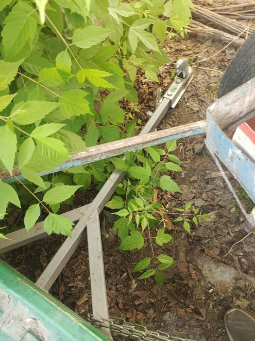 Продам прицеп только прицеп без документов
