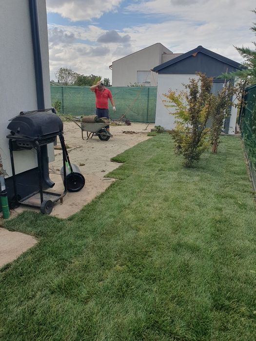 Gazon rulou sport calitate