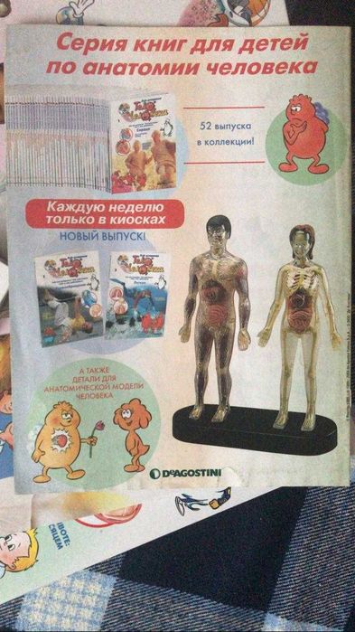 книги по анатомии человека