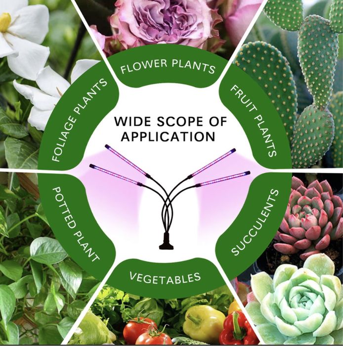 фитолампа с таймером
