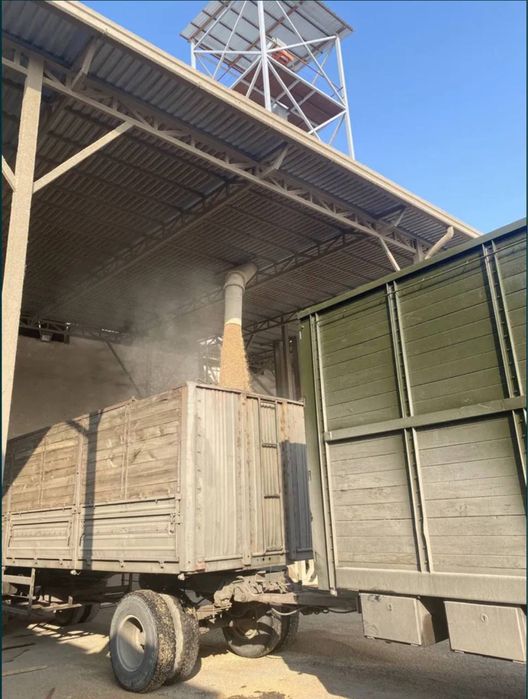 Bugdoy, Бугдой, соя шрот катта обьем