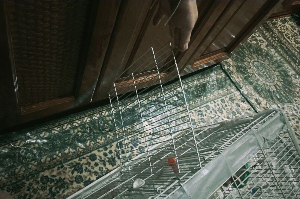 Клетка для птиц 60х40