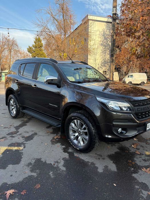 Trailblazer краска Тоза 100%