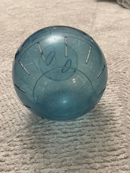 Колесо для хомяка