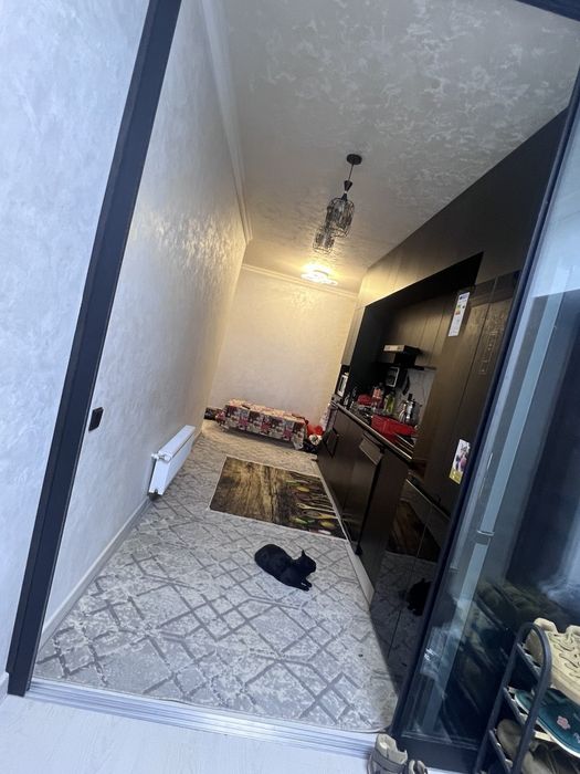 Uy 3 honali 80.000€