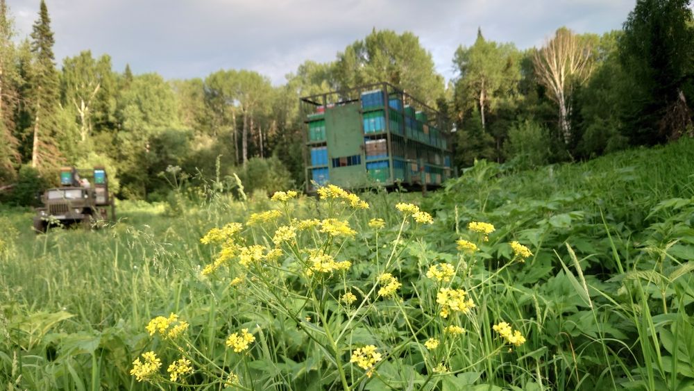 Продам мёд Усть Каменогорский