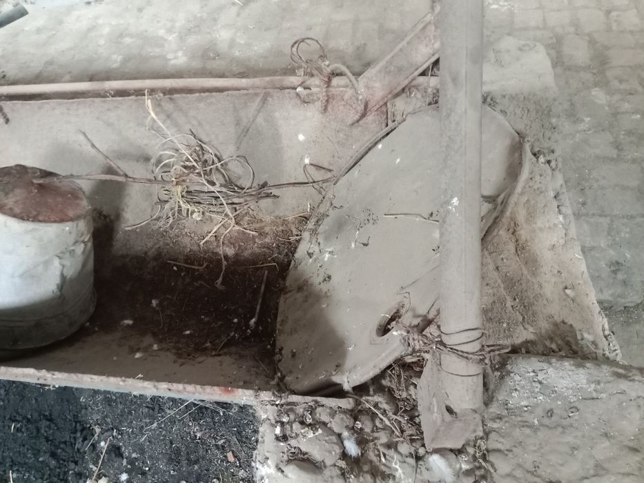 Ohur mol hona uchun  50 метир бор сотаман