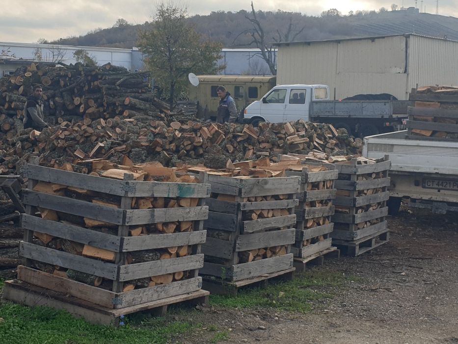 Дърва за Огрев 2024
