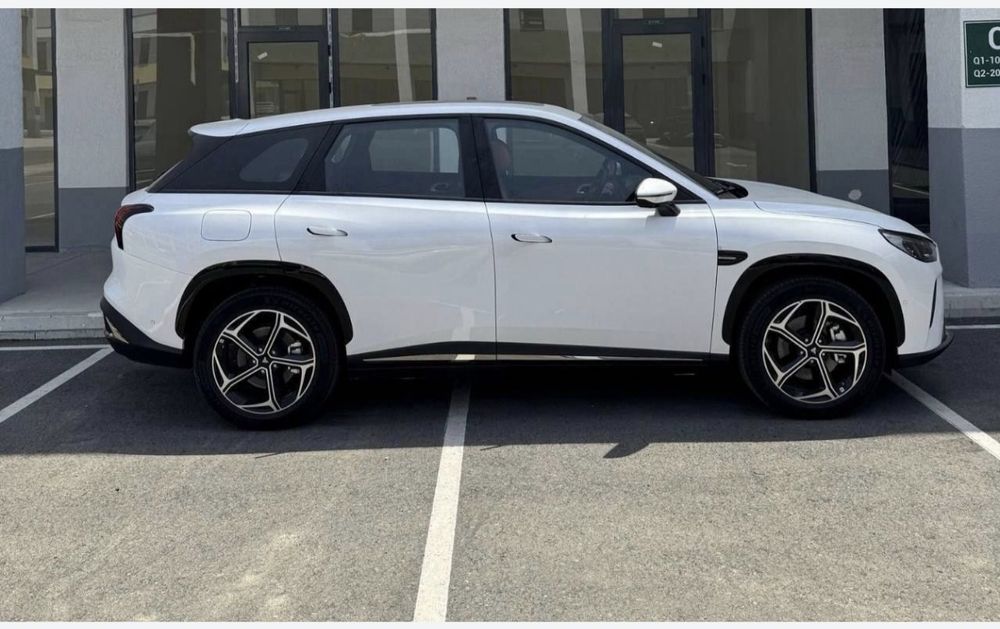 Neta L Gibrid 1 yil kafolat