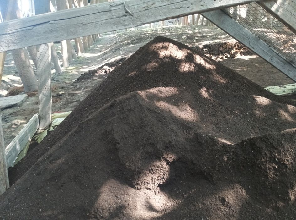 Biogomus биогомус