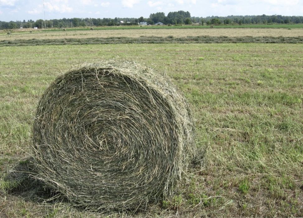 Рулон сено