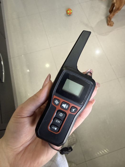 Zgarda electrica pentru dresaj caini