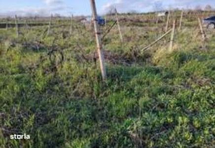 Teren extravilan Comarna, ID: R3075286