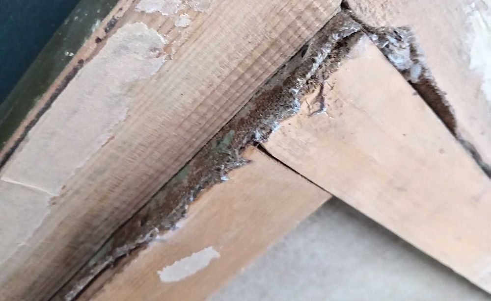 Tablou vechi - marginea padurii - semnat I. Tuculescu