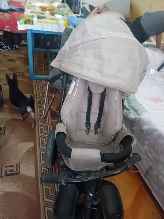 Продават се. Заедно  или поотделно.