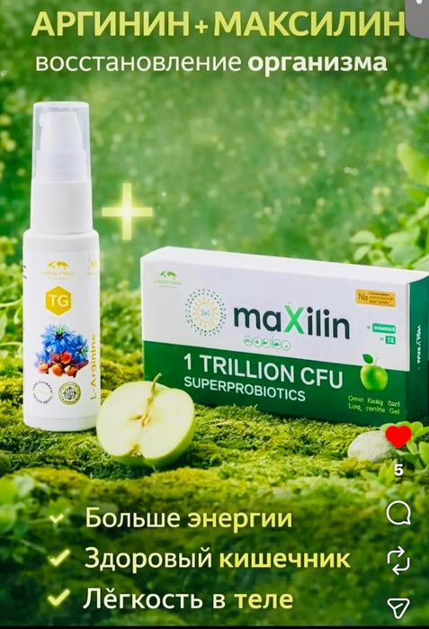 Максилин - пробиотик