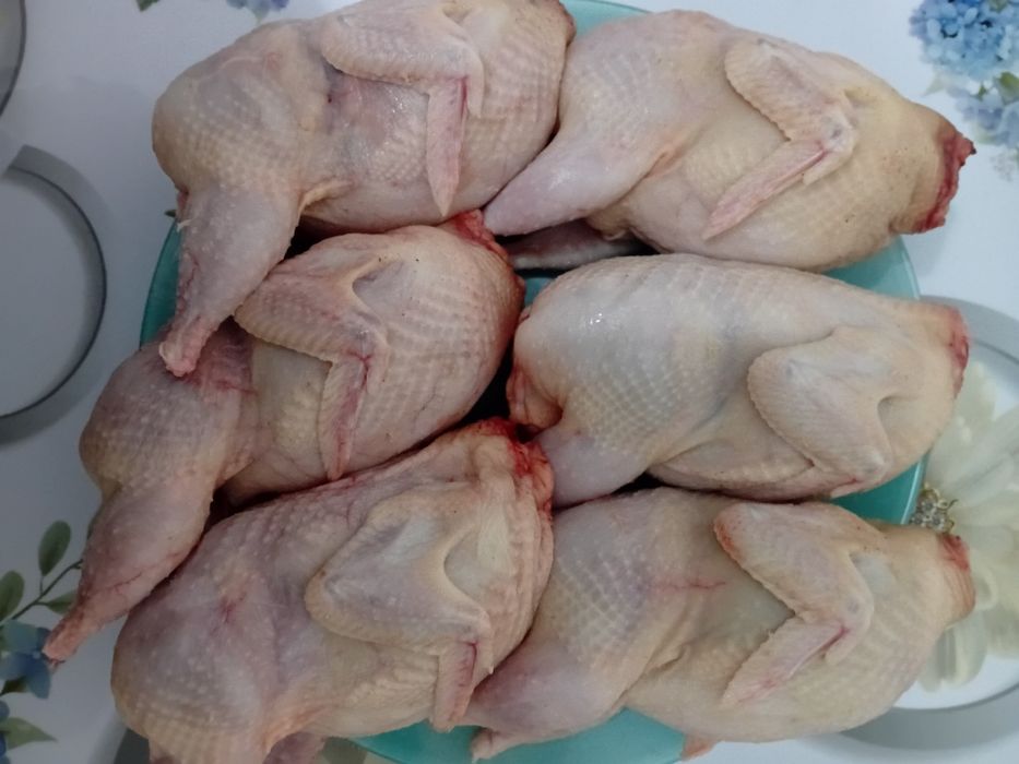 Мясо перепелов домашние