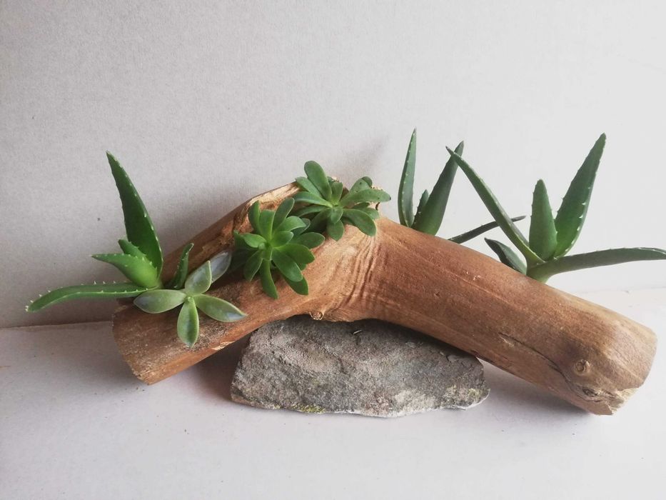 Ръчни дървени саксии