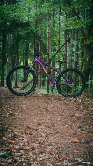 Bicicleta Ragley Big AL