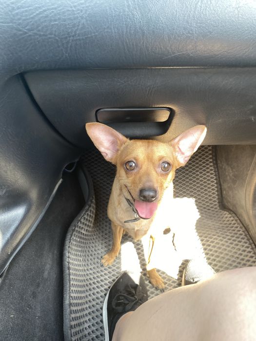 Кабель ищет себе подругу