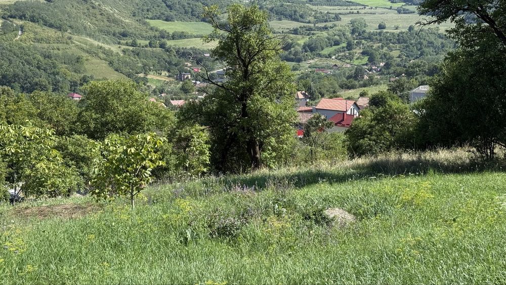 Teren intravilan Caianu 1400 mp panorama deosebita