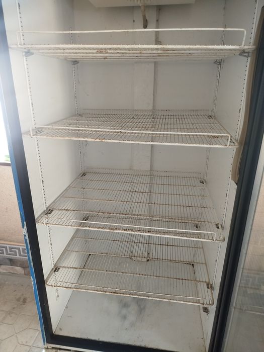 Vitrina muzlatgich rassiski xolati ideal