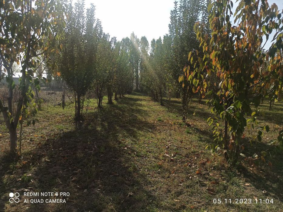 Участок 15 соток